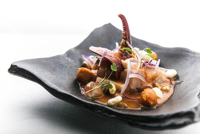 Alta cocina peruana en Argentina: restaurantes gourmet que elevan la experiencia